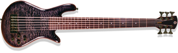Spector 6 Classic Spector 6 Classic