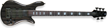 Spector 5St Bass TonePump Euro Zebra Wo/BSG w/Case Spector 5St Bass TonePump Euro Zebra Wo/BSG w/Case
