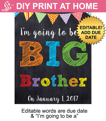 Big Brother Editable Printable Poster