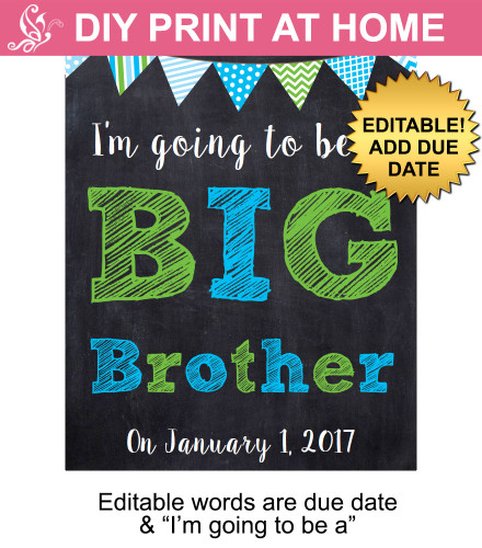 Green & Blue Big Brother Editable Printable Poster