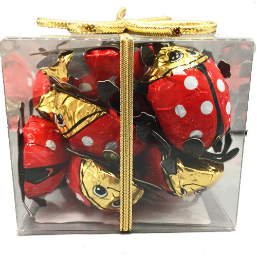 Riegelein Chocolate Lady Bug Gift Box 10ct