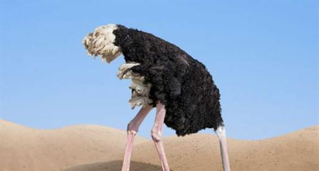 Cyber Security- The Ostrich Approach is hurting the world