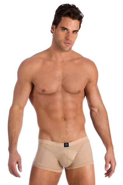 Gregg Homme Underwear Nude Scene Boxer Brief Tan 95505 from Topdrawers Menswear - Full View Gregg Homme Underwear Nude Scene Boxer Brief Tan 95505 from Topdrawers Menswear - Full View