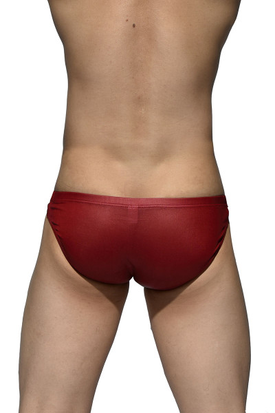 B1RD Blood Red - Private Structure Desire Glaze Bikini DGEMU3553BT - Rear View - Topdrawers Underwear for Men B1RD Blood Red - Private Structure Desire Glaze Bikini DGEMU3553BT - Rear View - Topdrawers Underwear for Men