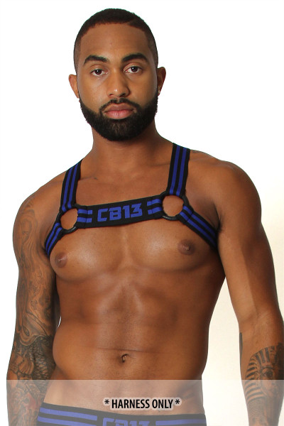 CellBlock 13 Torque Elastic Harness CBS109-BU CellBlock 13 Torque Elastic Harness CBS109-BU
