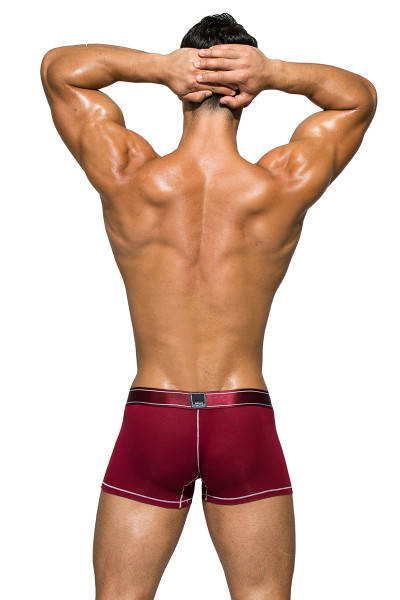 Cranberry Red - Private Structure Platinum Bamboo Trunk PBUZ3749 - Rear View - Topdrawers Underwear for Men Cranberry Red - Private Structure Platinum Bamboo Trunk PBUZ3749 - Rear View - Topdrawers Underwear for Men
