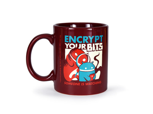 Encrypt Your Bits Mug