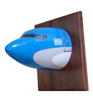 Aerolineas Argentinas A340 Nose