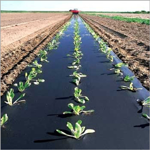 Black Plastic Mulch - 1.5 Mil