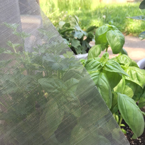 40 Mesh, Anti-Insect Screen, Various Widths - Sold by the foot