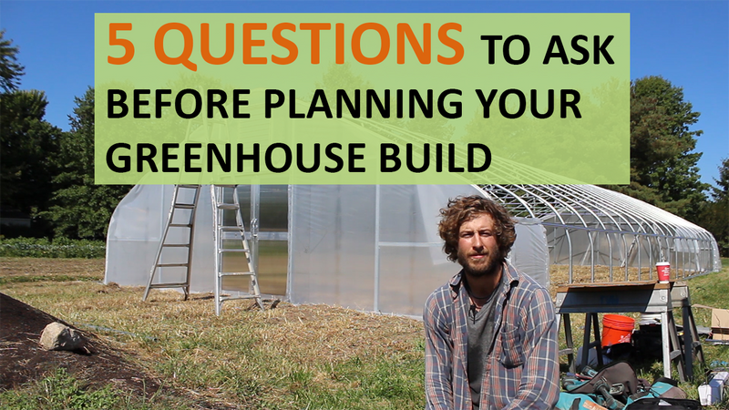 5 Questions to Ask Before Planning Your Greenhouse Build
