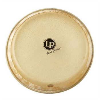 LP 8" Jr. Conga Replacement Head (LP266A) LP 8" Jr. Conga Replacement Head (LP266A)