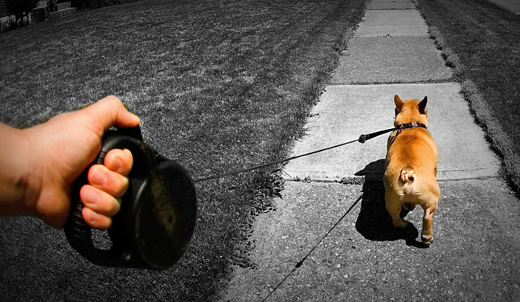 Dangers of using a Retractable Dog Leash - Know the Risks