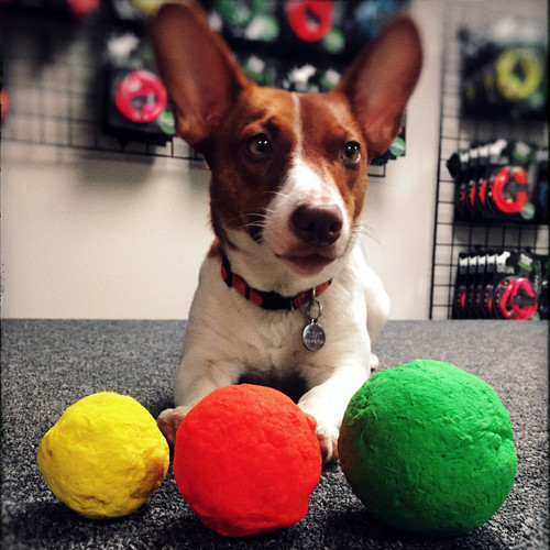 WUNDERBALL is available in 3 sizes so you can get the perfect size fetch toy for any size dog.