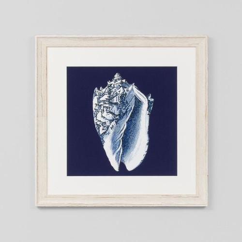 Framed Print: Indigo Shells 1