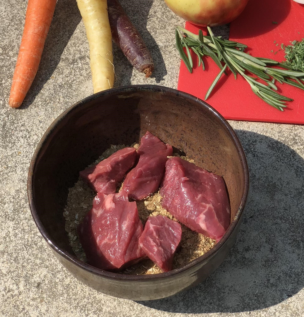 Why is a Dog Food Diet with Raw Ingredients Better for my Dog?