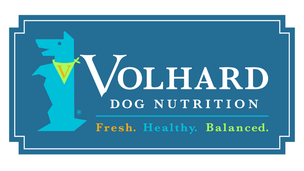 Announcing Our NEW Brand Identity and Website!