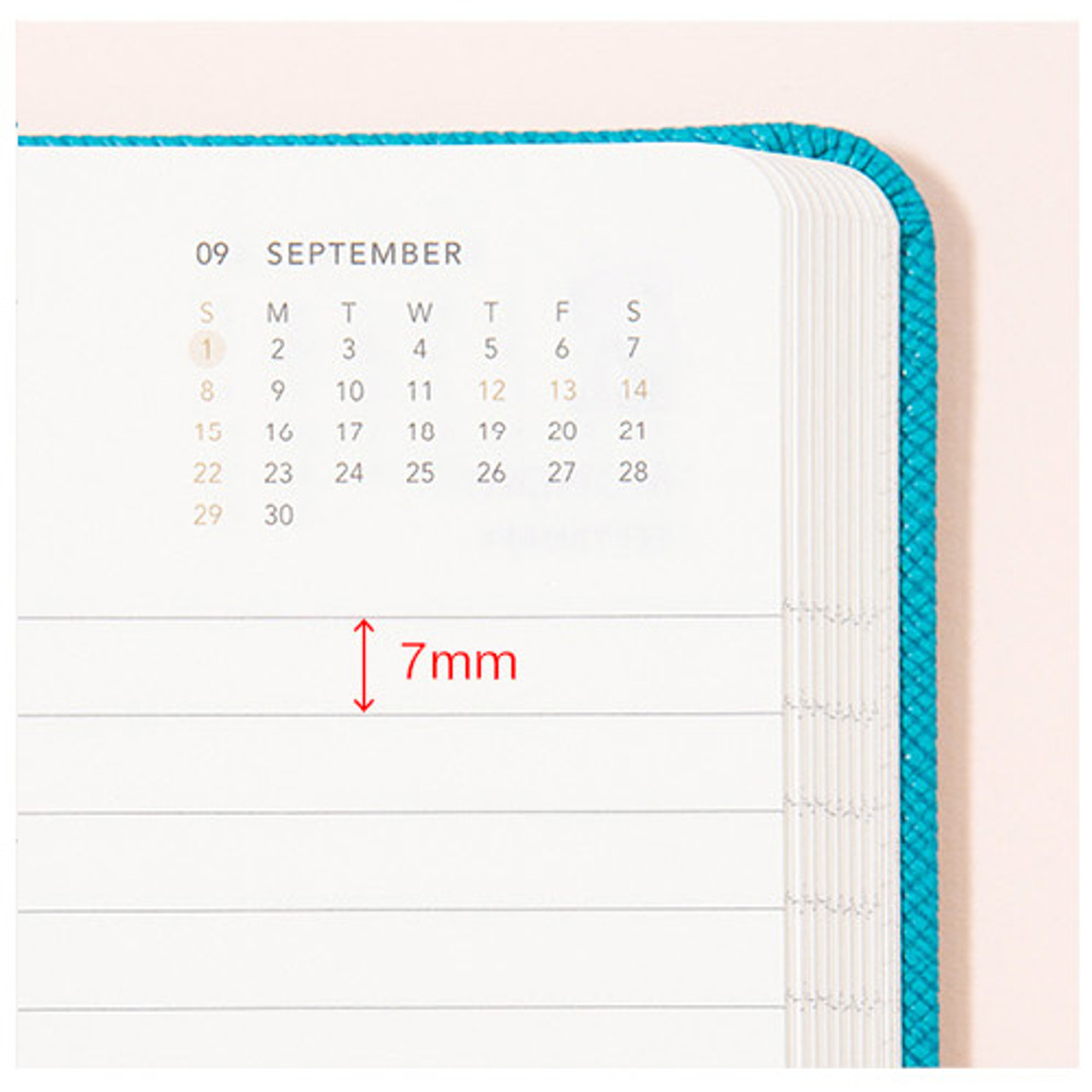 ardium 2019 simple medium dated daily journal agenda planner