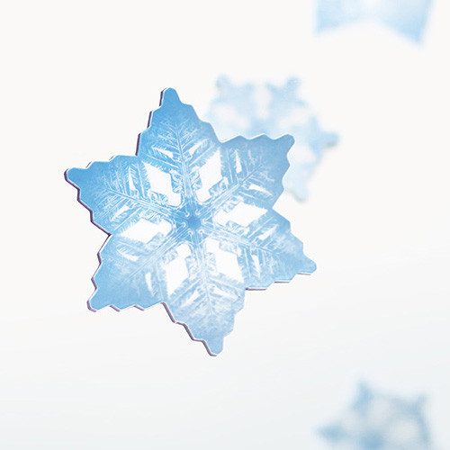 Appree Snow flower magnet set Appree Snow flower magnet set