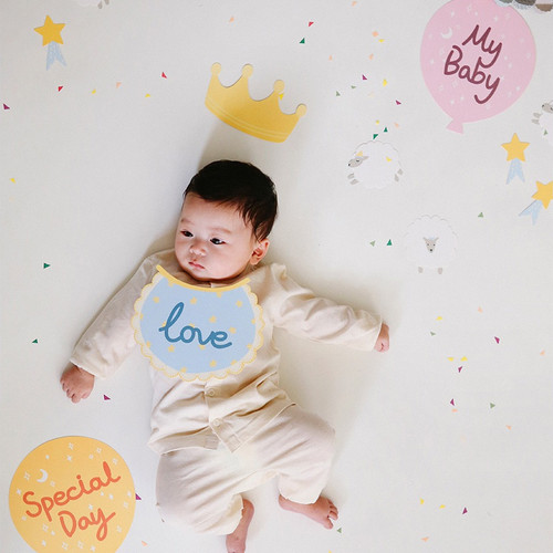 Dailylike Baby photo stick props set Dailylike Baby photo stick props set