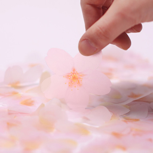 Cherry blossom transparent sticky memo notes Medium Cherry blossom transparent sticky memo notes Medium