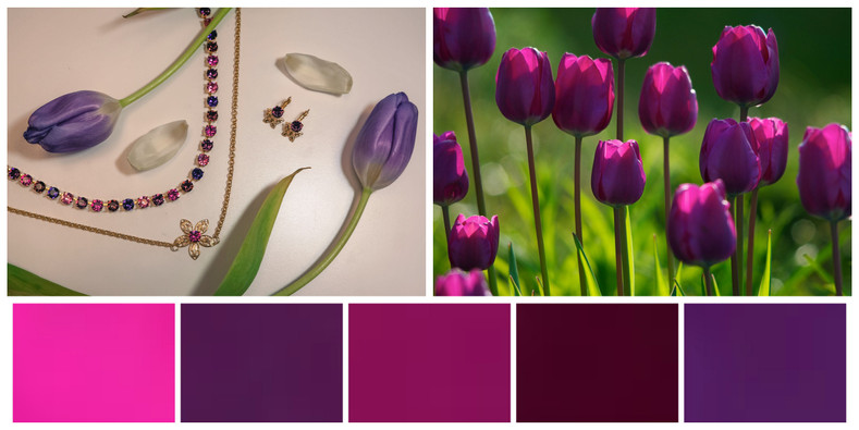 Tulip Pinks and Purples: Inspiration Colors