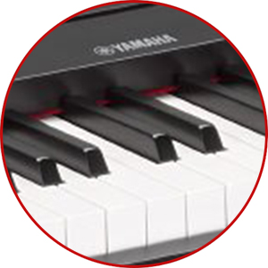 Yamaha DGX-660 Digital Piano - Black w/ Furniture Bench