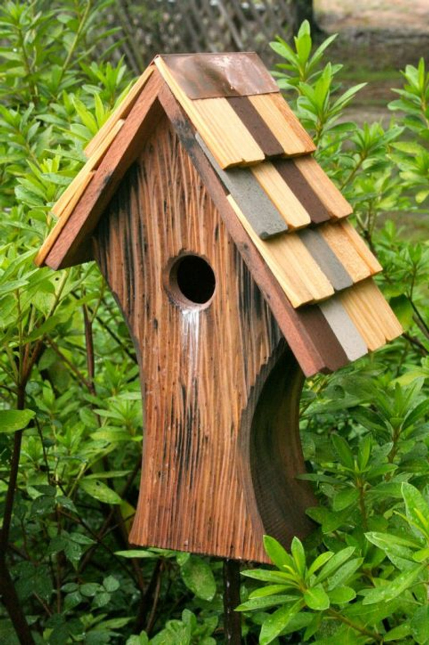 Bird Houses Birdhouse Colored Shingle