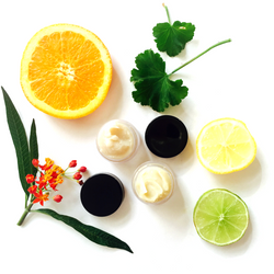 Skin beneficial and odor controlling essential oils combined with a unique blend of ingredients to naturally combat excess moisture and control odor while treating the sensitive underarm skin to lightweight, healing ingredients, oils and skin beneficial essential oils. Zero baking soda means zero irritation! Powdered Magnesium and Organic Potato Starch offers the powerful combination to combat moisture and odor. t's our belief you can achieve subtle, beautifully fragranced deodorants that work to combat moisture and odor without compromise! The ingredient combination in our deodorants will offer dry underarms, naturally fragrant benefits without the ineffectiveness and/or irritation many natural deodorants cause. Skin beneficial and odor controlling essential oils combined with a unique blend of ingredients to naturally combat excess moisture and control odor while treating the sensitive underarm skin to lightweight, healing ingredients, oils and skin beneficial essential oils. Zero baking soda means zero irritation! Powdered Magnesium and Organic Potato Starch offers the powerful combination to combat moisture and odor. t's our belief you can achieve subtle, beautifully fragranced deodorants that work to combat moisture and odor without compromise! The ingredient combination in our deodorants will offer dry underarms, naturally fragrant benefits without the ineffectiveness and/or irritation many natural deodorants cause.