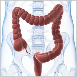 Complete Colon Care provides natural cleansing and probiotics to support healthy colon, kidney and liver functions.