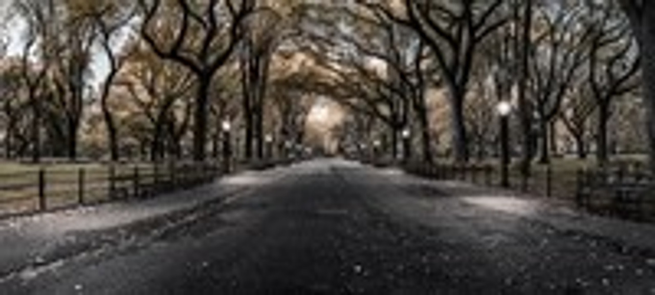 Photograghs of MELBOURNE and NEW YORK