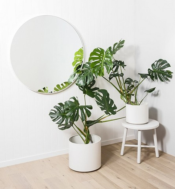 Flynn Mirrors | The epitome of minimalism