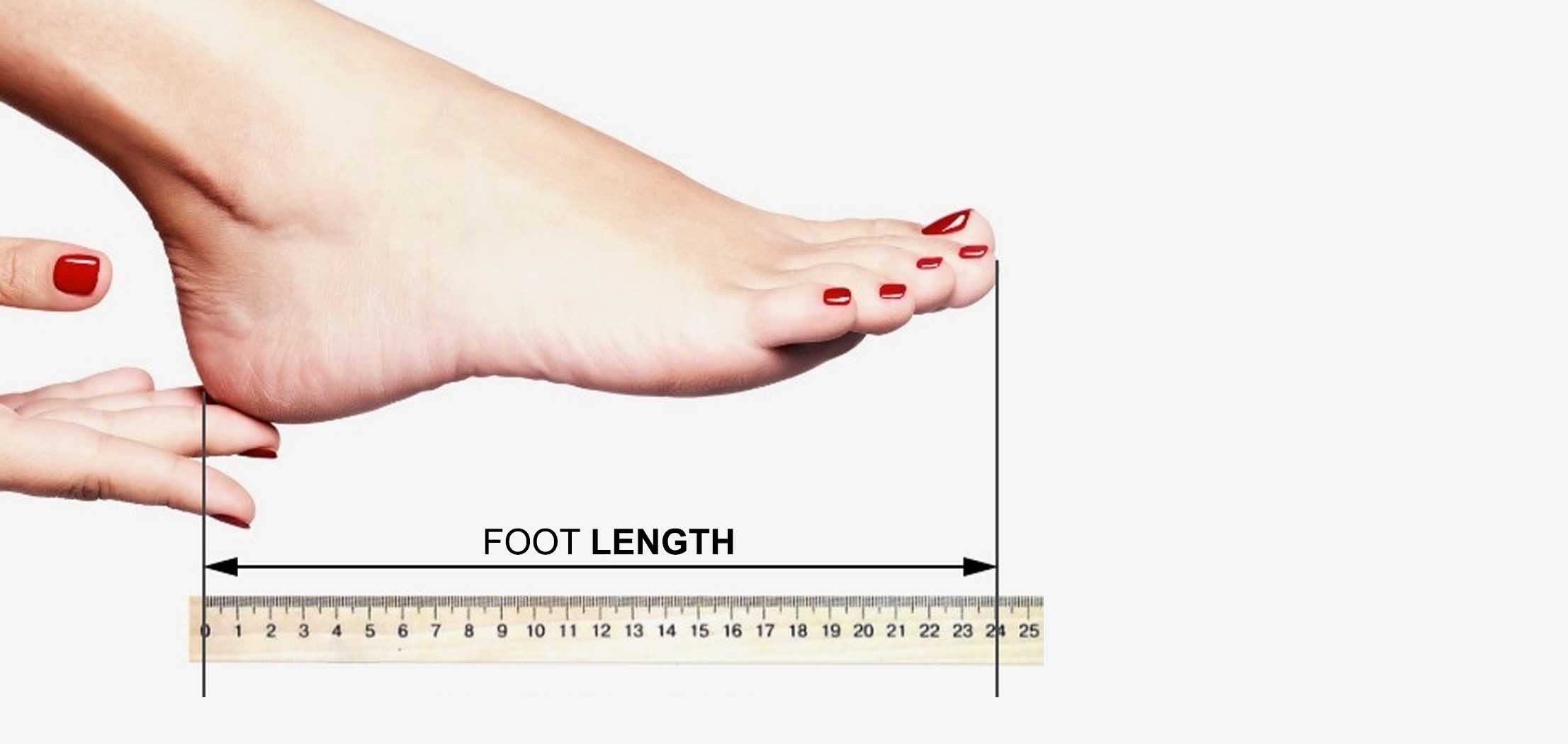 24 cm in foot size. 
