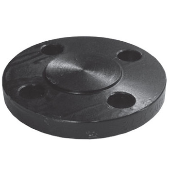 Forged Steel Pipe Flanges Blind