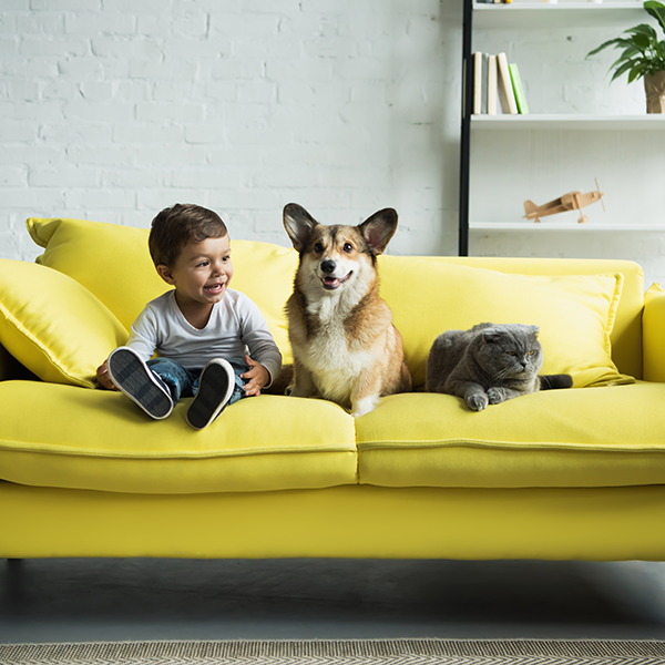 Almost Perfect Allergen Removal - Sharp Air Purifiers