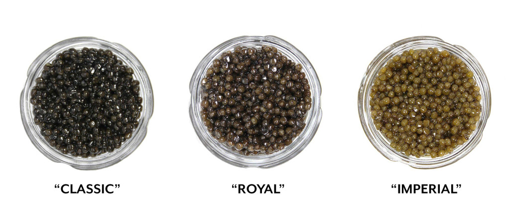 What’s the difference between Select, Classic, Royal, Supreme and Imperial caviar?