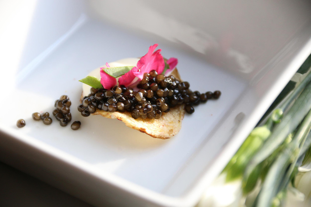 What is caviar?