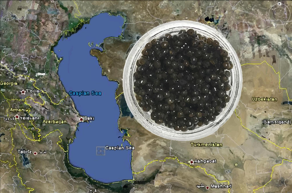 Caviar and The Caspian Sea