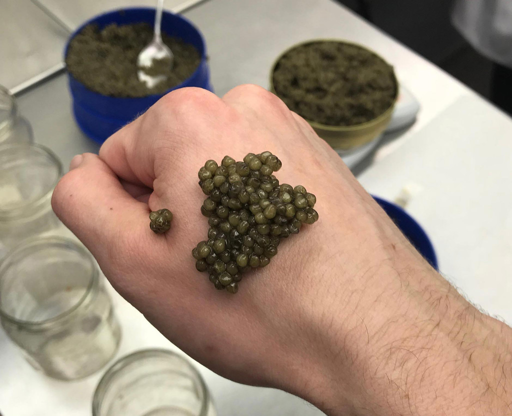 How to serve and eat caviar like a pro