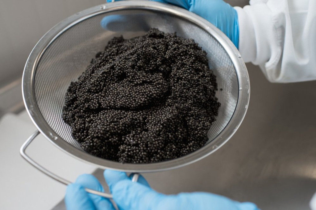 Where's the best place to buy caviar? Farms and Fisheries v.s. Retailers