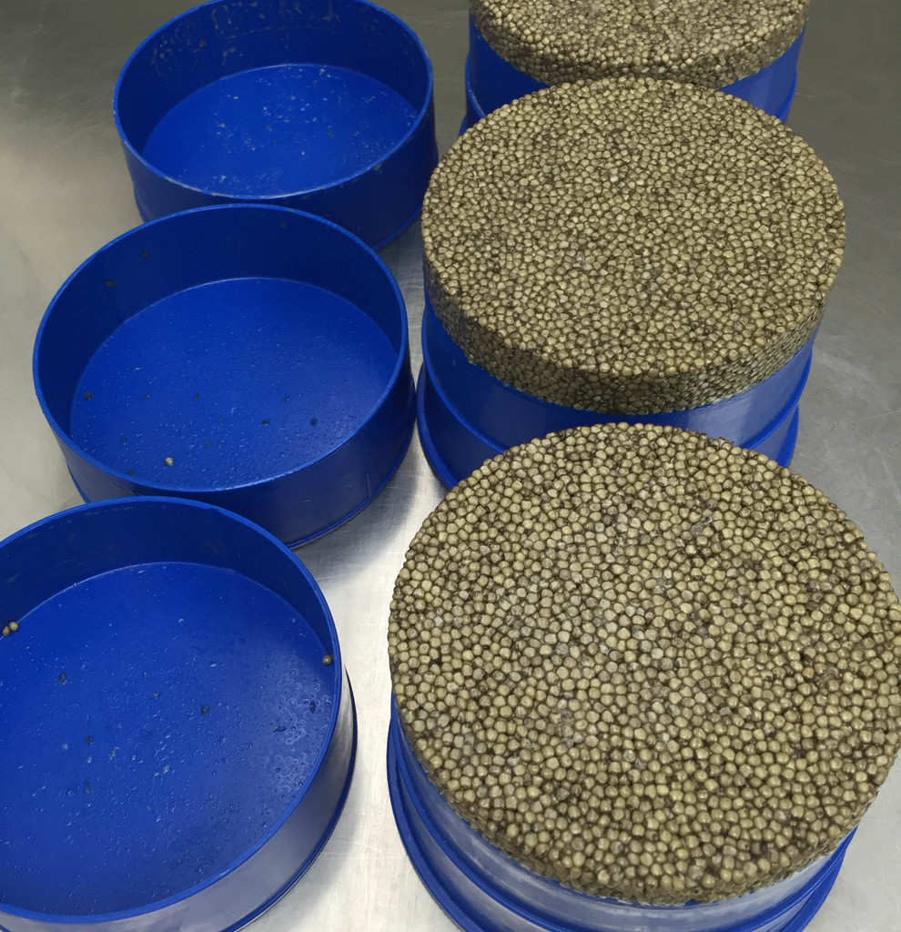 NC Osetra is Back in Stock!
