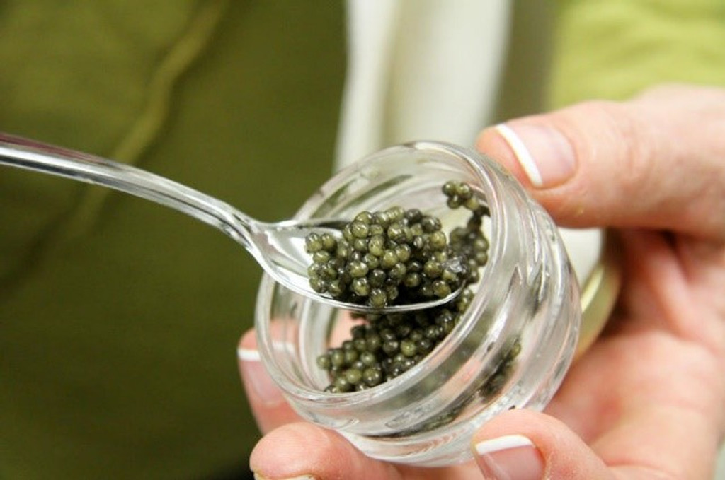 Sustainable North Carolina Caviar