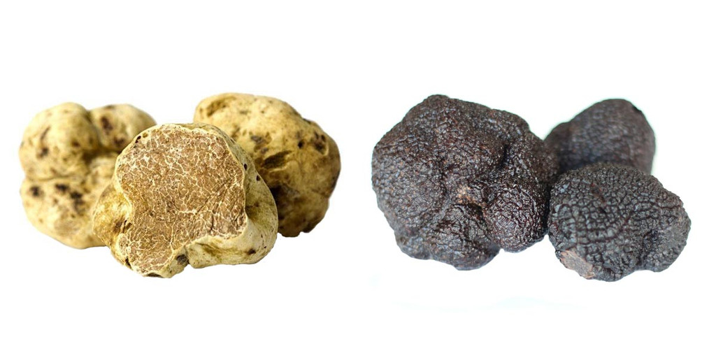 What do truffles taste like?