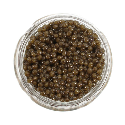 Karat Israeli Osetra Caviar