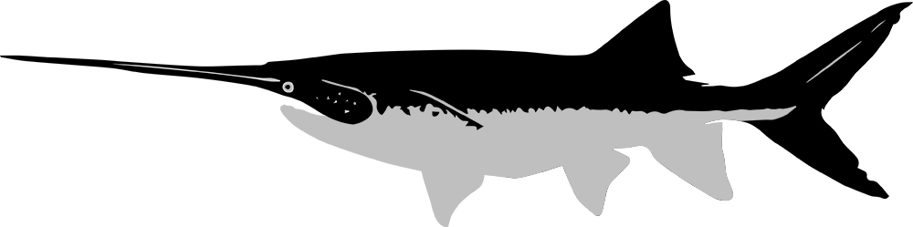 caviarstar-paddlefish-black3-med.jpg