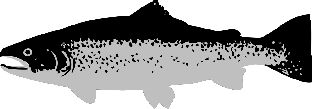 caviarstar-rainbow-trout-black-3-med.jpg caviarstar-rainbow-trout-black-3-med.jpg