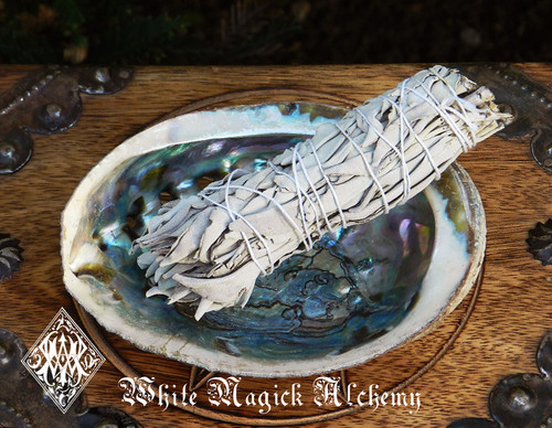 White Sage Wand and Abalone Shell Sacred Smudge Set