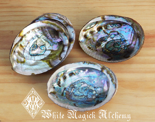 White Sage Wand and Abalone Shell Sacred Smudge Set