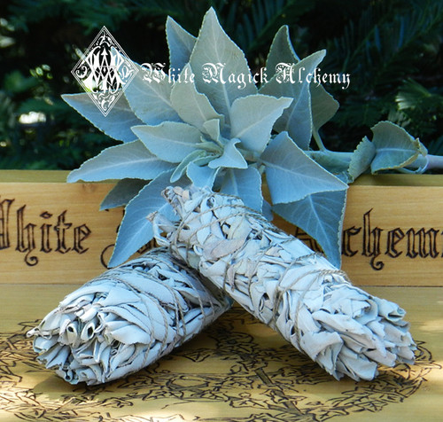 California White Sage Handmade Smudge Wand 6" for Cleansing and Clearing the Home of Negativity, Spiritual Cleansing, Banishing, Protection