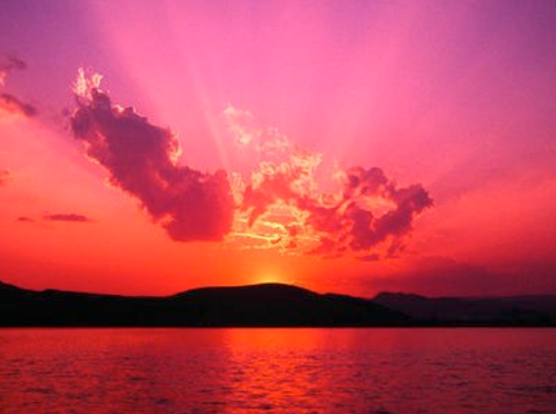 Summer Sunset Candles for Summer Solstice, Evening Illumination, Love . Grapefruit, Lemon Verbena, Lime, Lily, Creamy Vanilla Sugar
